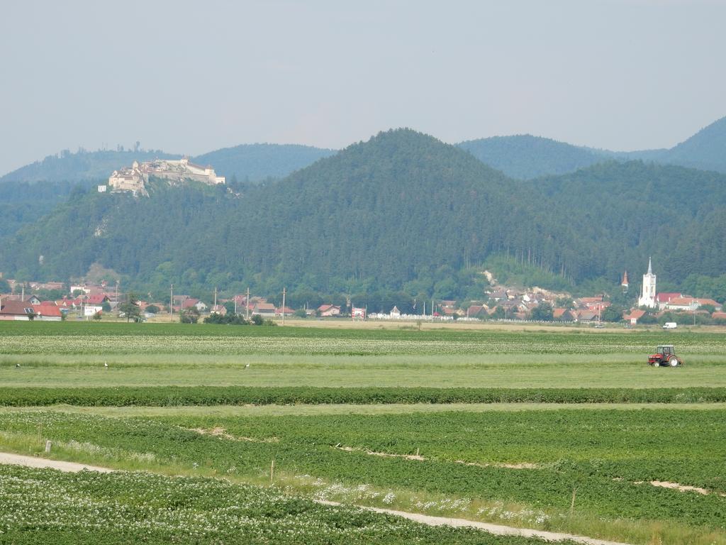 Pensiunea Cetatea Craiului Rîşnov المظهر الخارجي الصورة